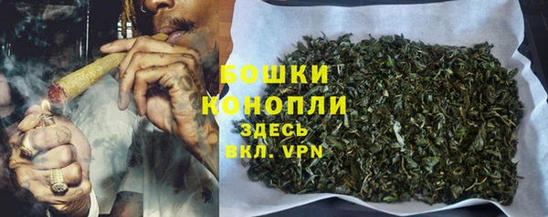 бошки Балахна